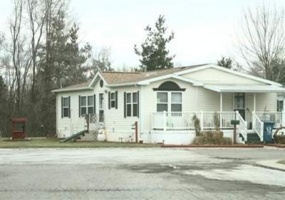 Michigan,United States,Mobile Home Community,1042